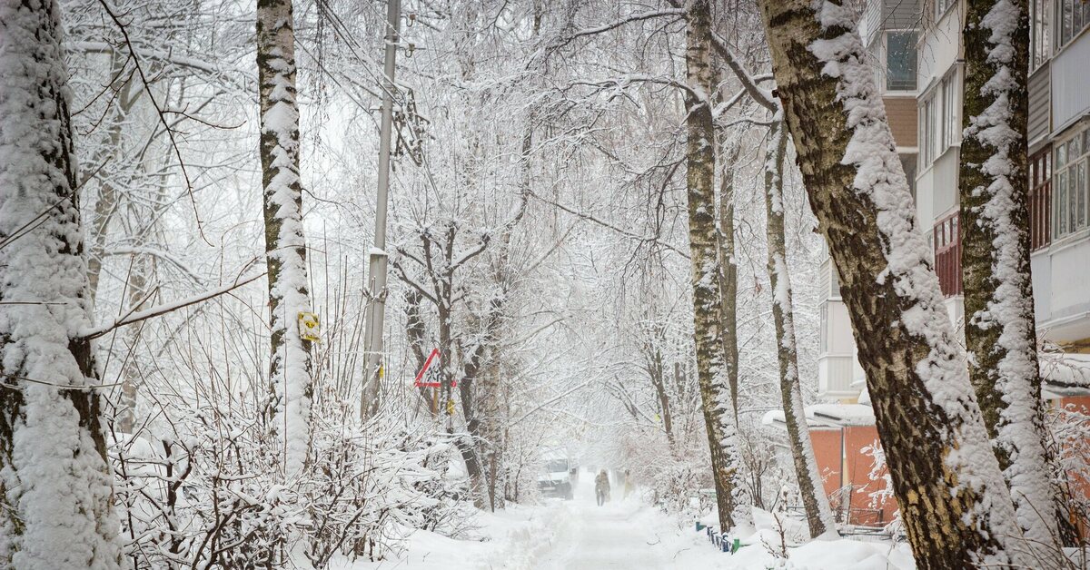 снег в липецке. фотография немного снега. снег поляна. зима без снега. заснеженная тропинка.