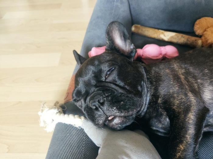 Храпунцель над златом чахнет