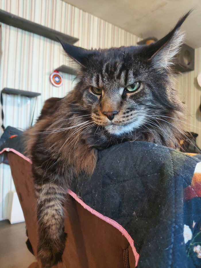 Импозантный мущщина