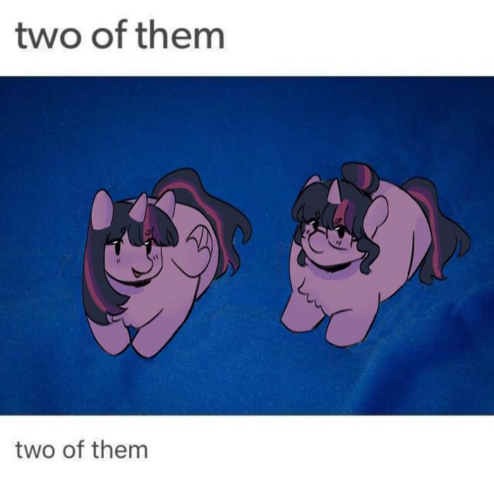 Two of them My Little Pony, Twilight Sparkle