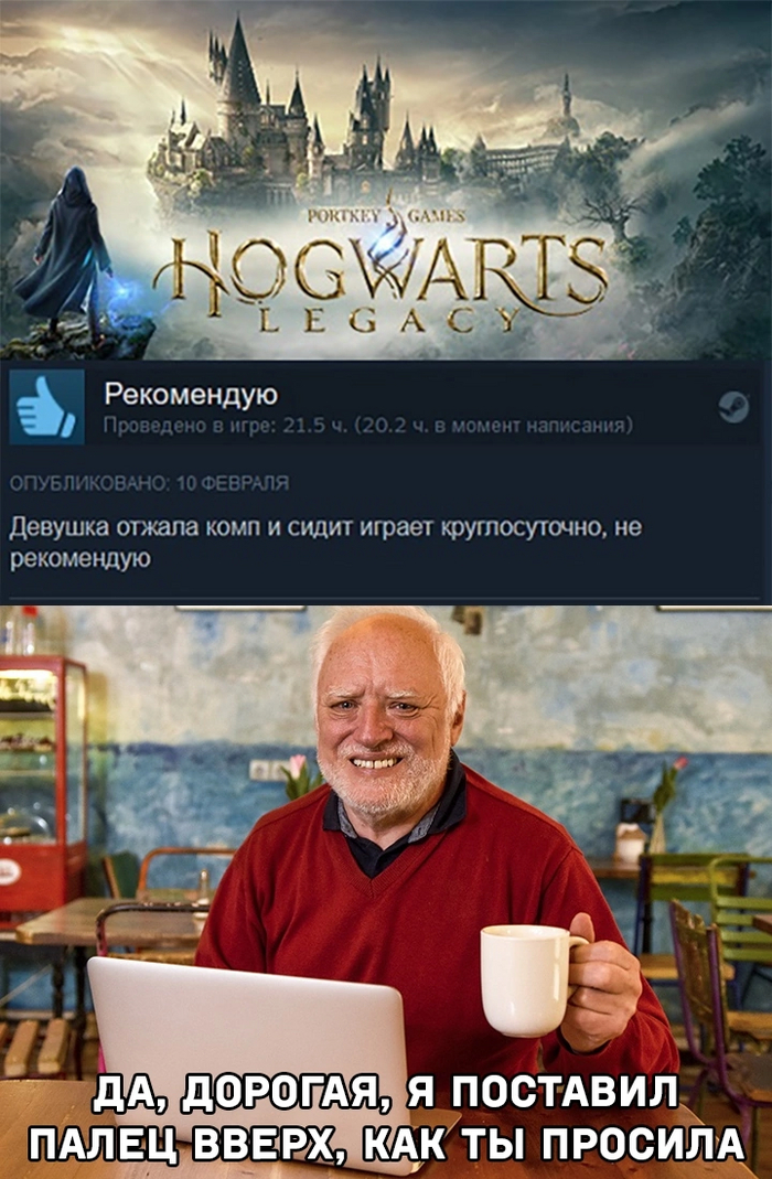 ,      ,   , Hogwarts Legacy,  Steam