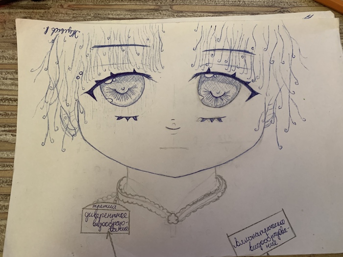 На украденной табличке по биологии