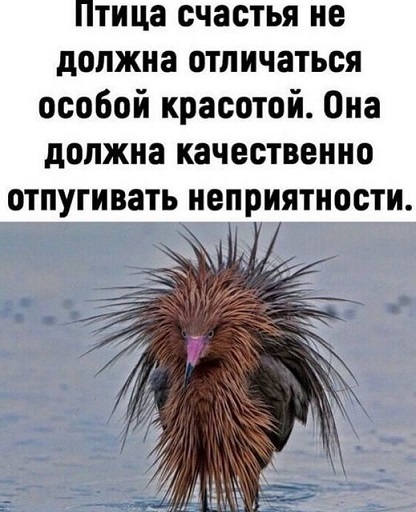  ,  ...