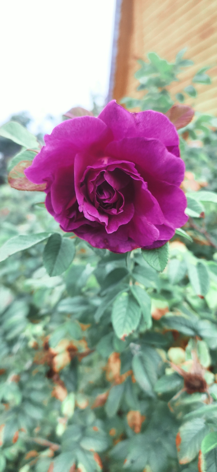 22 �������� 2022 ����