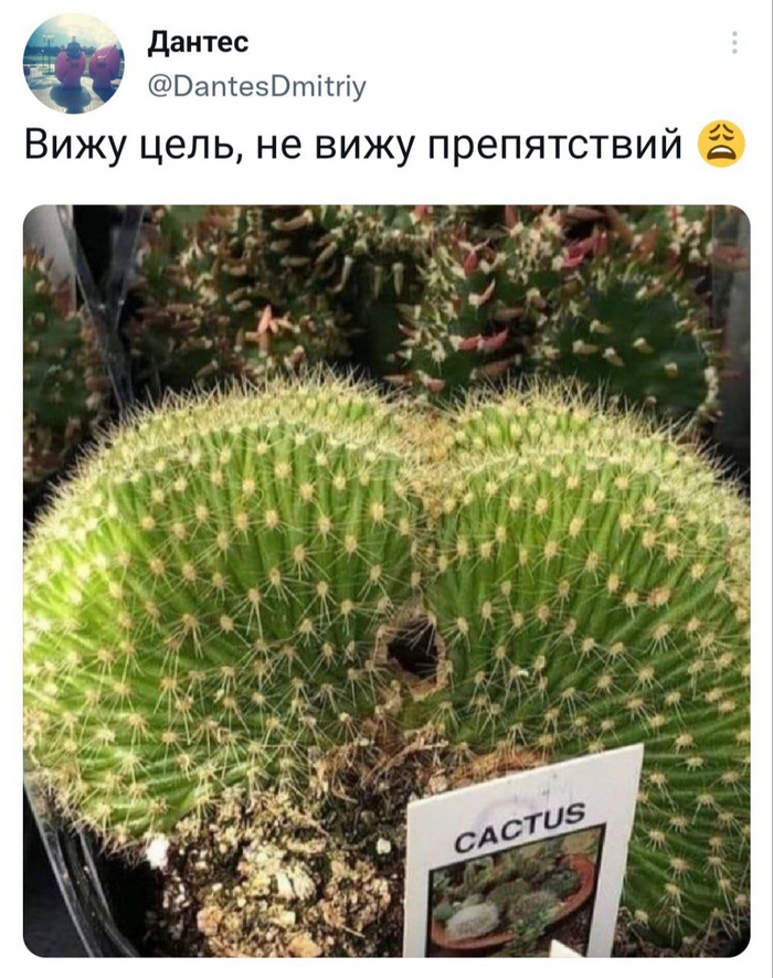 ,     ... X (Twitter), , , , , 