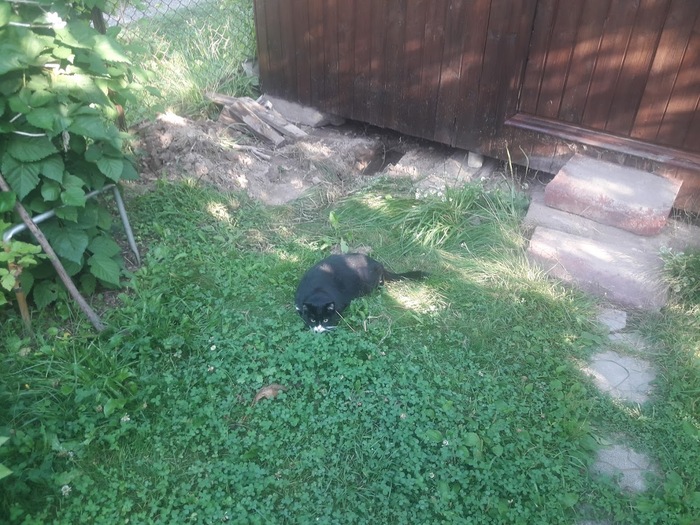 ����������� ������