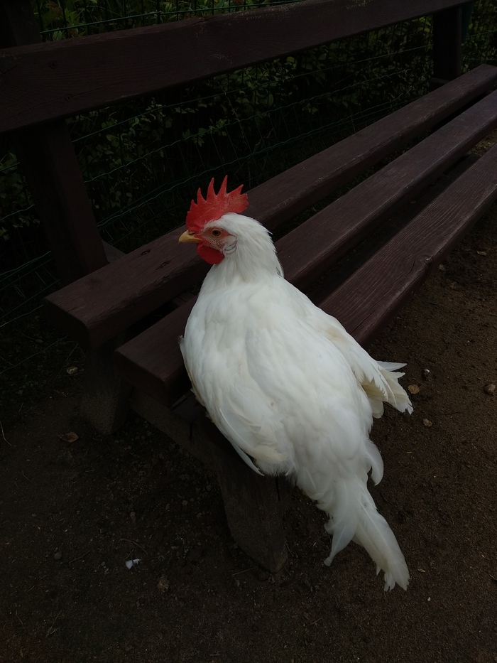    ,  , , ,  , ,  , ,   , 
