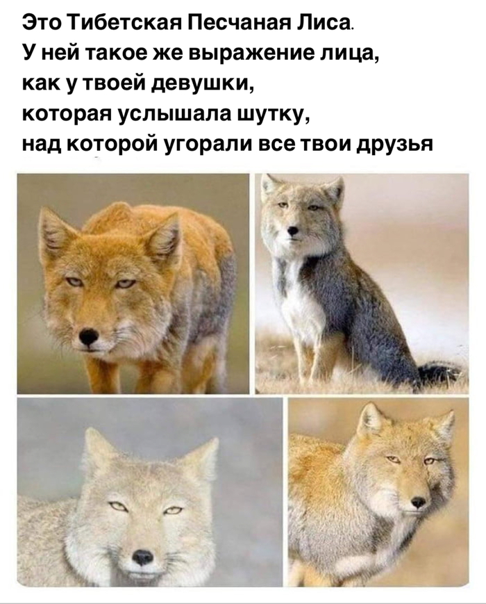 ������ ���