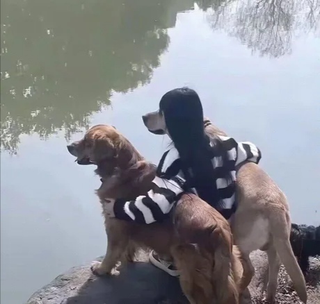 Шикарные волосы