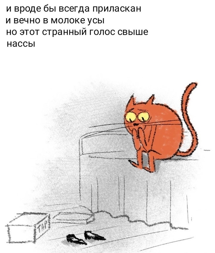 Кошачье