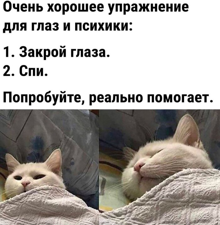 �������� ����������