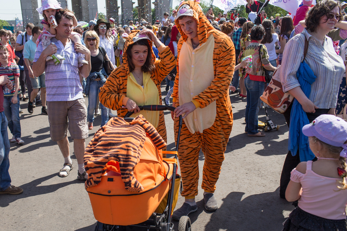 Красиво плывут!