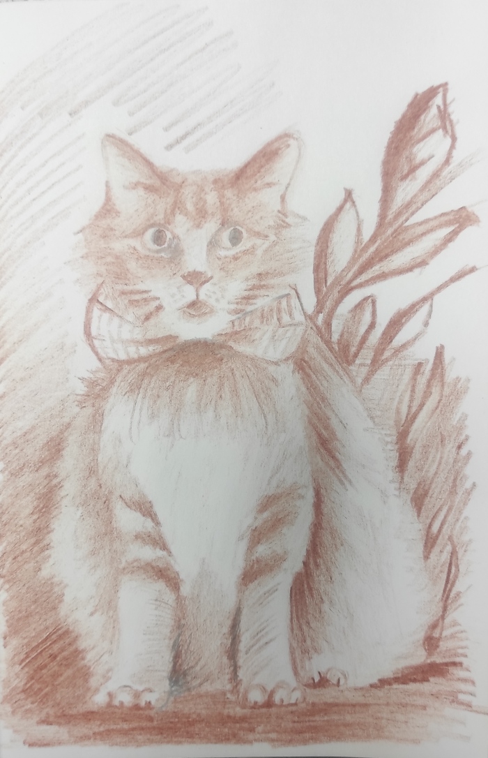 Кот в бабочке