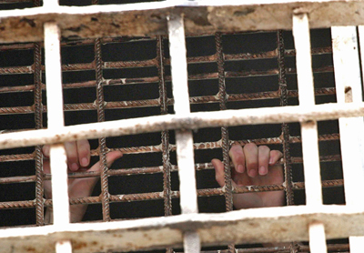 ����. 272-� ������. �������