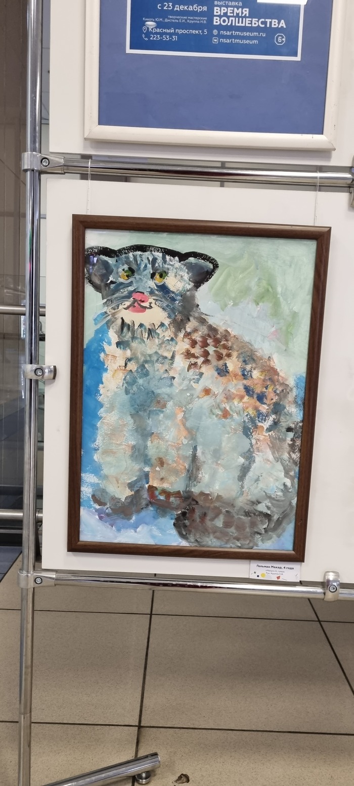 Манул которого не гладили!