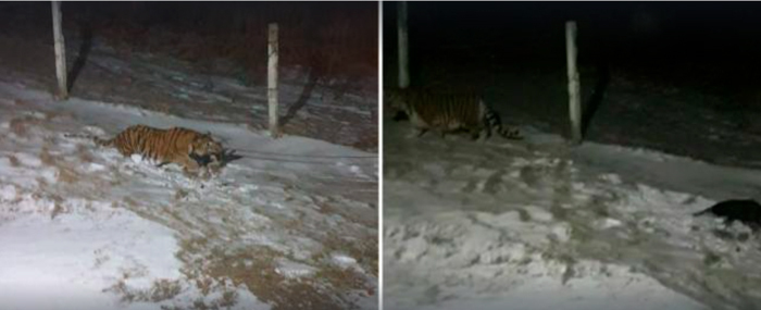 Молчаливое согласие не лучше участия