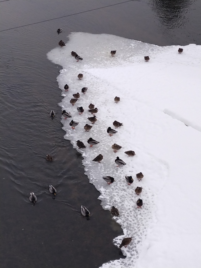 ���������������� ����