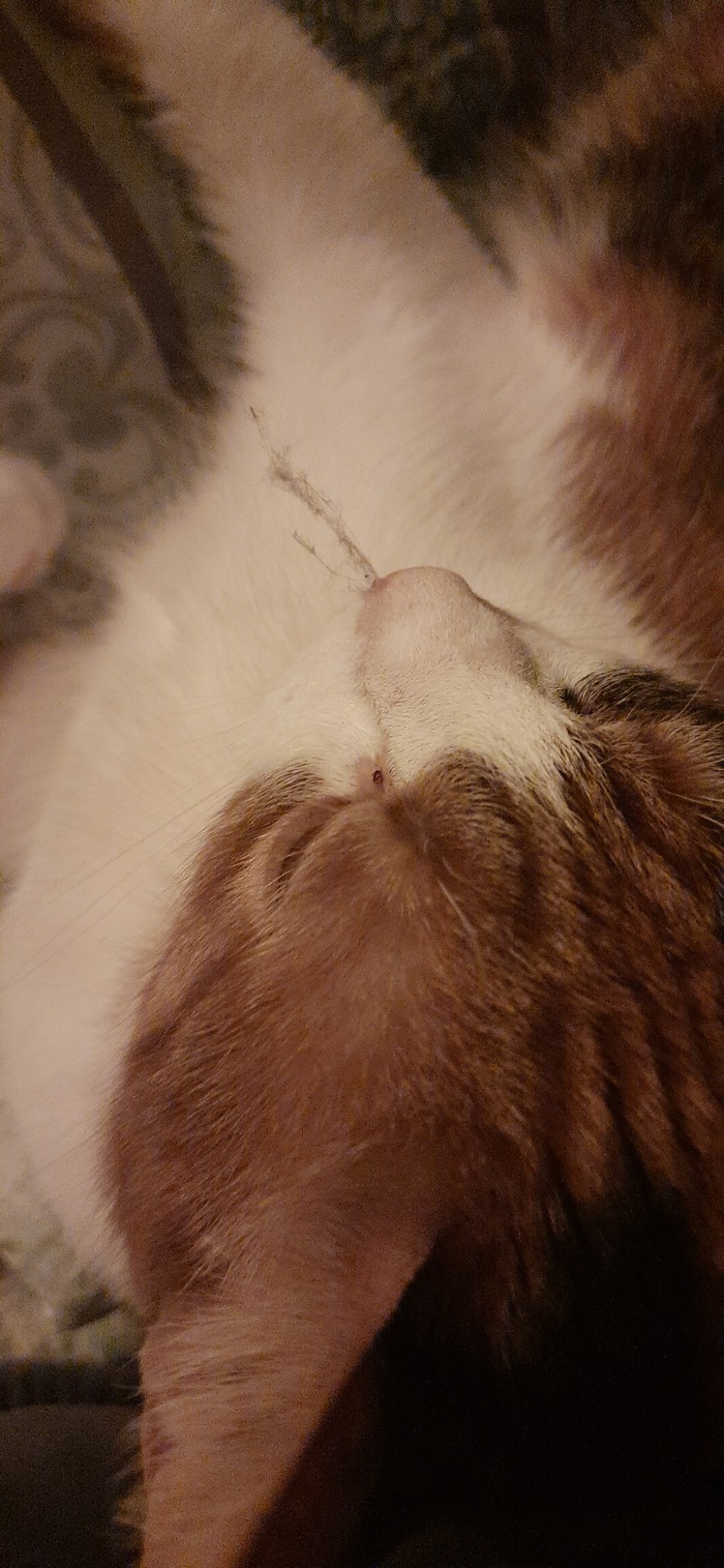 Запылилась