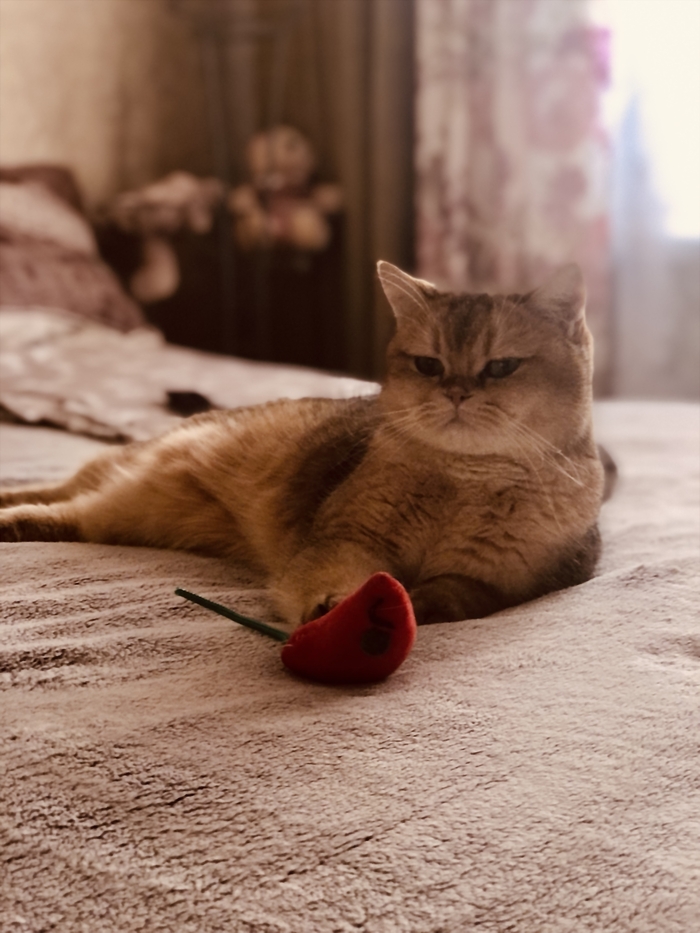 ��������� ������ ������� �������