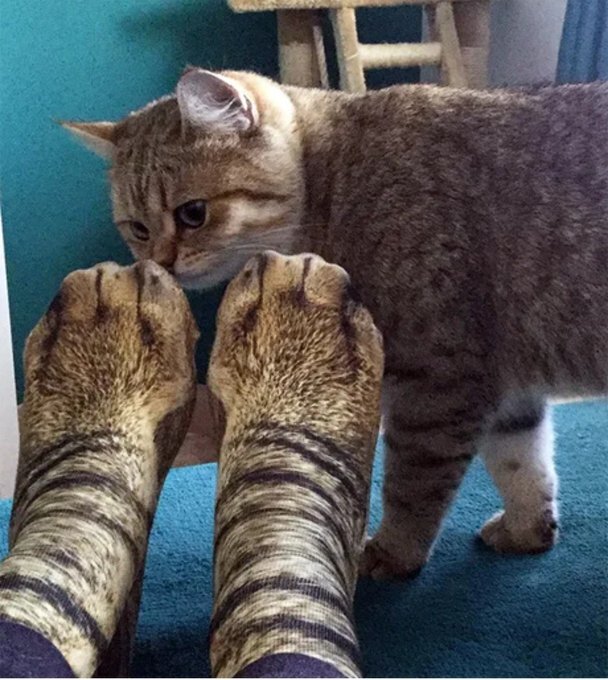 �� ���������� ������ ?!