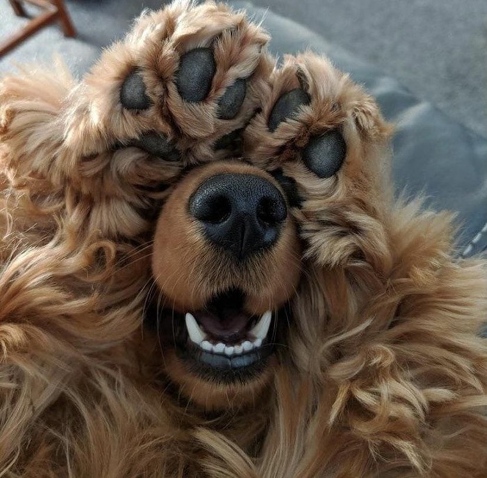 С глаз долой...