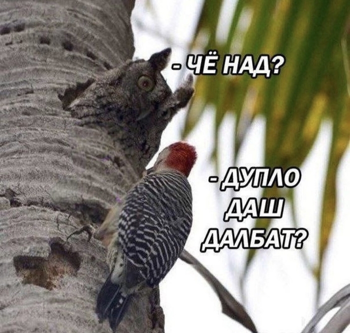 �� ���� �������