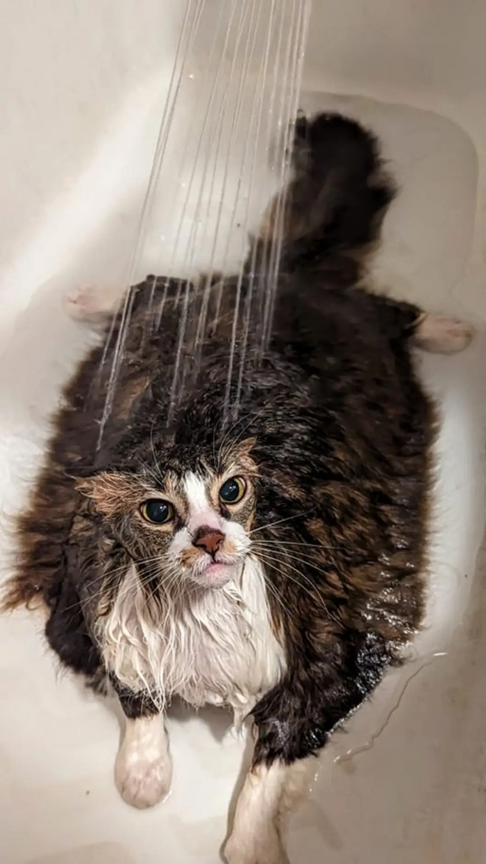 Чего смотришь? Мой давай