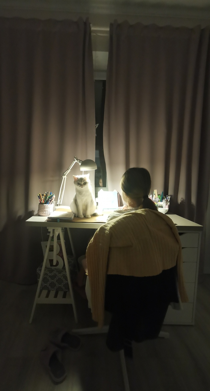 Моя котолампа