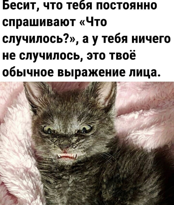 ��� ������ ���������