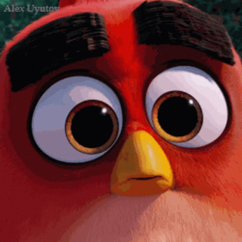 Angry Birds      Android- Angry Birds, Google Play, 