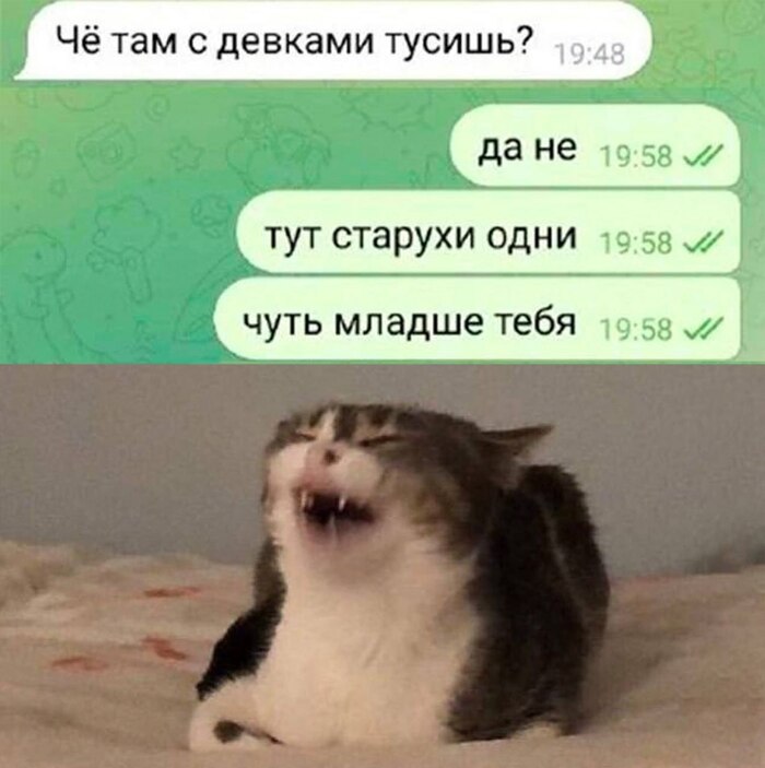 �������