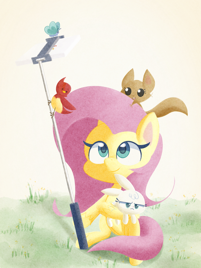  :   ,  34 My Little Pony, MLP_Evening, Fluttershy