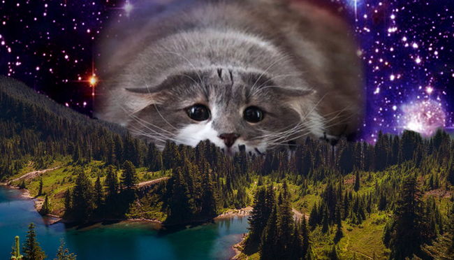 ����� �� ���� ������