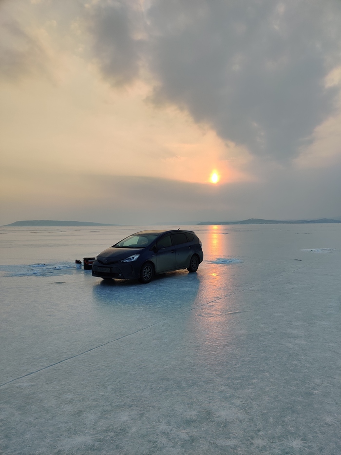 Ловля сазана подводная съемка