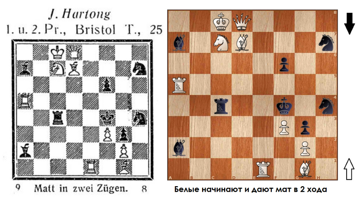 Двухходовочка #79