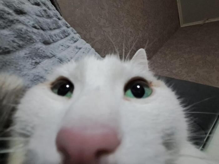 ��� �����