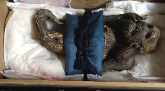 �������� ��������