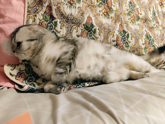 �������