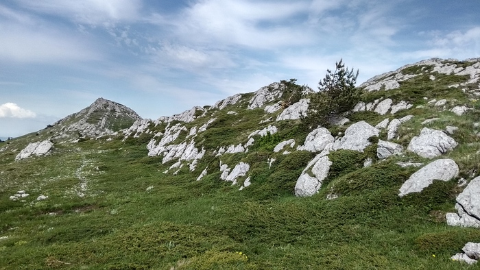 ������ ��������� ���