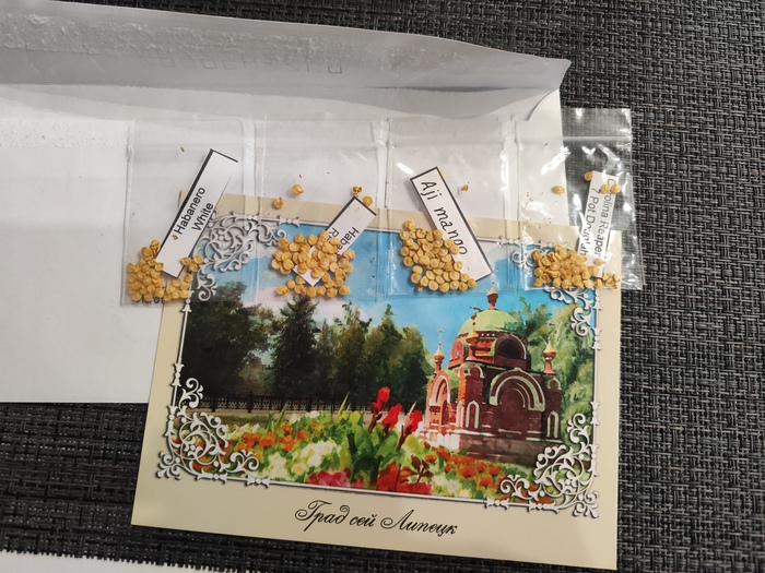 Симбиоз пикабушников