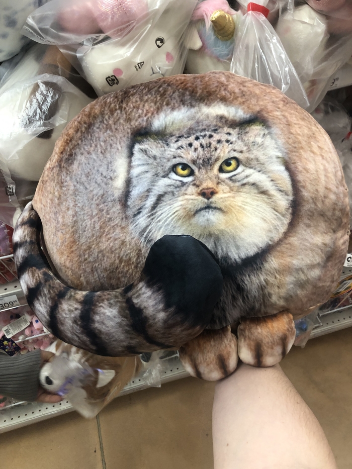 Не всех погладили