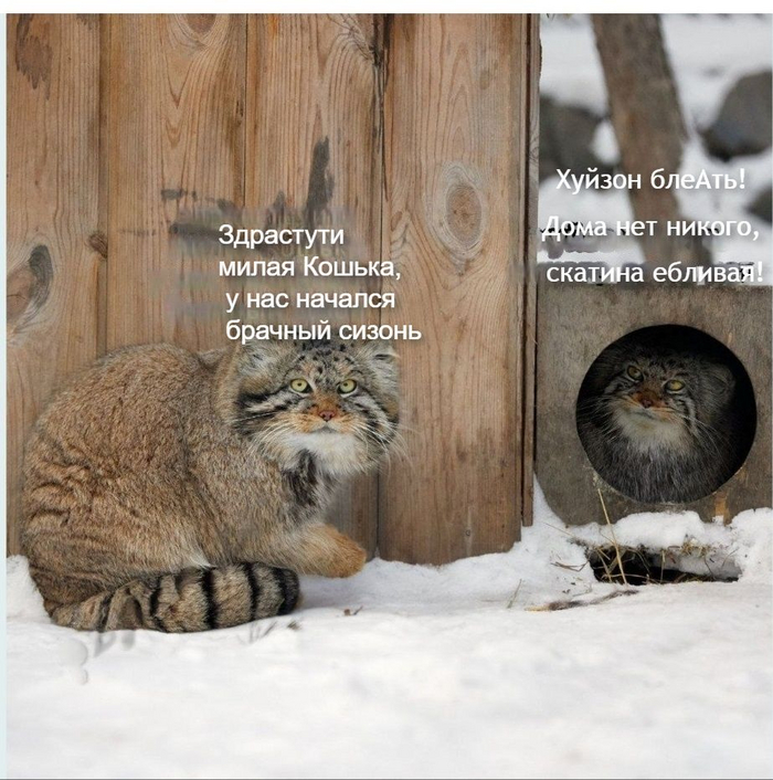 Пришел марток...