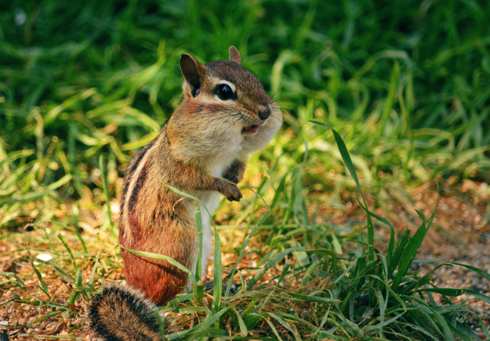 Весь мир в глазах | Пикабу
