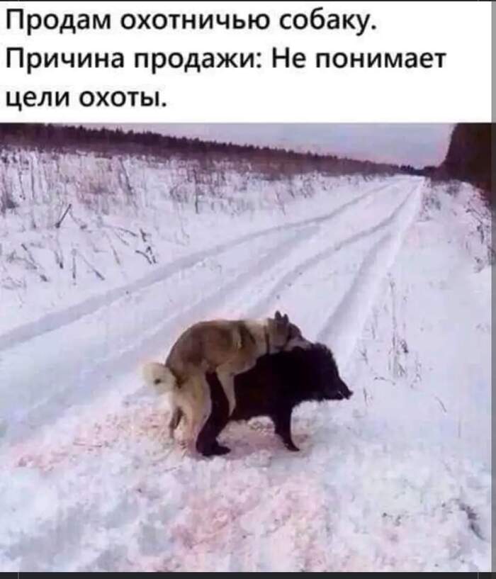     ,      ? ,   , , , , , 