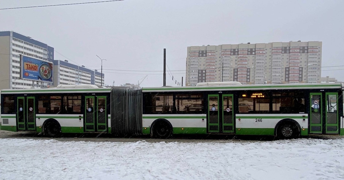 Автобус гармошка фото. Череповец автобус ЛИАЗ гармошка. Автобус гармошка современный. Московские автобусы гармошки. Автобус гармошка новый.