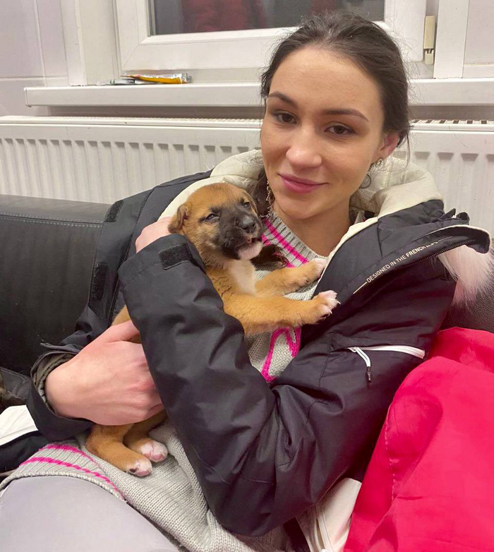 Сила репостов и капелька волшебства — вуаля, щенок уже не «сугробный», а домашний!