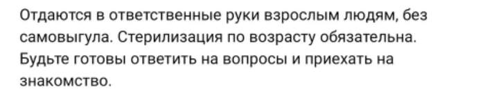 ���� � ������ ����