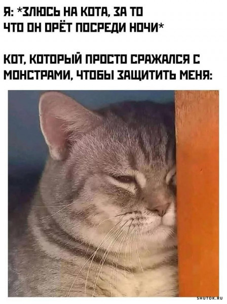 Сегодня было такое