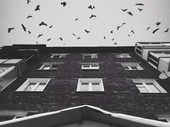 ����� ��������