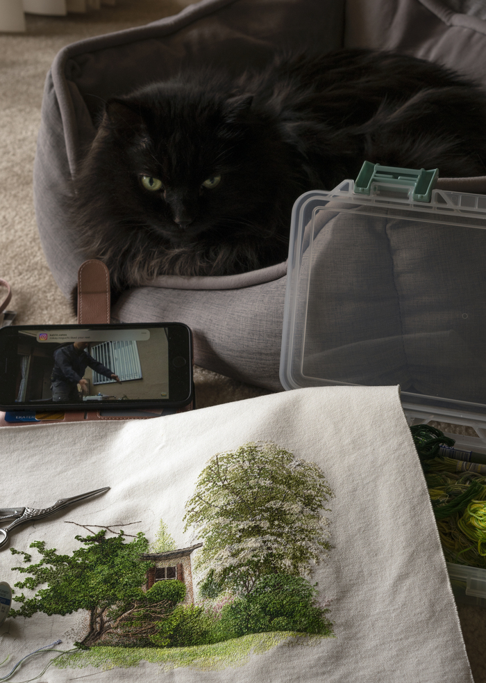 ��� �� ���������, ������� (82 ����)